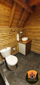 La salle de bains est pourvue de toilettes et d'un lavabo dans une cabine. dans l'établissement Espectacular Cabaña de lujo en Santa Elena, à Medellín