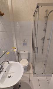 a bathroom with a shower and a toilet and a sink at La Ginelle - Appartement Bocage in Airoux