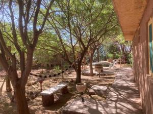 grupa ławek i drzew w parku w obiekcie Cabañas Pankara w mieście San Pedro de Atacama