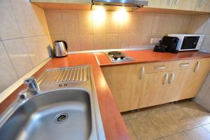 una pequeña cocina con fregadero y microondas en Grand Central Studios, en Sibiu