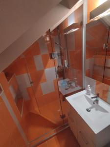 uma casa de banho com um chuveiro, um lavatório e um espelho. em Zen Apartment em Sighetu Marmaţiei