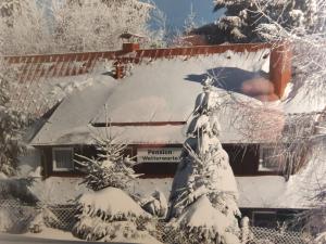 una casa cubierta de nieve con un árbol de Navidad en Ferienhaus am Rennsteig-Pension zur Wetterwarte en Brotterode