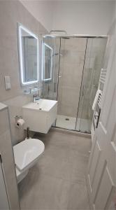 a bathroom with a toilet and a sink and a shower at Herzlich Willkommen - Küss die Hand 4 in Vienna