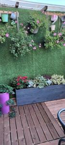 un jardin avec des fleurs et des plantes sur une terrasse en bois dans l'établissement Gite o vert, à Malleville-sur-le-Bec