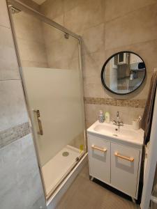 a bathroom with a shower and a sink and a mirror at Les Lofts De Provins: Apt 4 in Provins