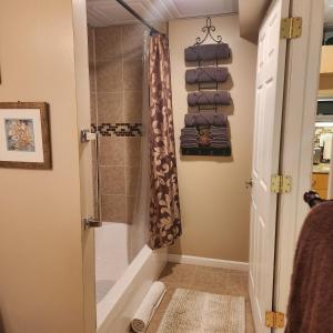 y baño con ducha a ras de suelo. en Comfortable, spacious, 1bdrm basement apartment, sleeps 4, en Milton