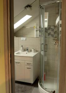 a bathroom with a sink and a shower at Chata Nova in Milejczyce