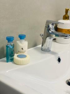 ein Waschbecken mit einem Wasserhahn und einer Flasche Seife in der Unterkunft Luxury Prince in Câmpulung Moldovenesc