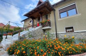 a house with a bunch of flowers in front of it at VILA COCA in Sălişte