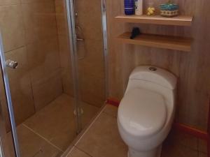 a bathroom with a toilet and a shower at Acogedora casa en Punta Arenas in Punta Arenas
