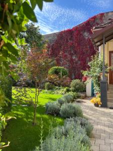 un jardín con flores y plantas frente a un edificio en Apartment Provence, en Uzhhorod