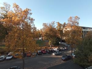 Kép Rare à Colmar - Appartement Champ de Mars vue sur Parc - 70m2 - 2 chambres szállásáról Colmarban a galériában