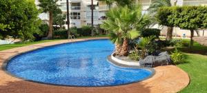 a large blue swimming pool with palm trees and a building at VISTAMAR 33 in Benidorm