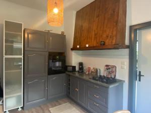 a kitchen with gray cabinets and a counter top at Belle Chambre Privée - Sdb - cuisine partagée - Wifi - Jardin in Wissembourg