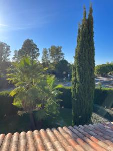 vistas a un jardín con 2 árboles y un techo en Loft en Huelva en Aljaraque