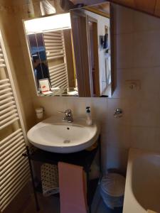 een badkamer met een wastafel en een spiegel bij il Nido in Tonadico