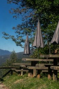 dos mesas de picnic con sombrillas en la cima de una montaña en La Faya - La Vallicuerra Casas Rurales en Mieres