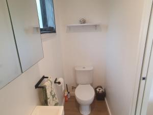 a small bathroom with a toilet and a mirror at Red Beach Garden Cottage in Red Beach +22 photos