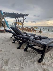 a row of lounge chairs on the beach at Cabaña en Playa Blanca, Barú In house beach in Baru