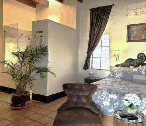 a bedroom with a large bed and a plant at Casa Magdalena in San Carlos +47 photos