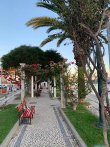 a park with benches and palm trees on a sidewalk at Casa Bamboo Tavira in Tavira