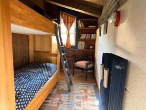a small room with a bunk bed and a ladder at Tuckett Lodge - A large flat for families and groups of friends in Madonna di Campiglio