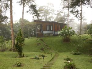 a tiny house on a hill in the woods at The Lodge at Reventazon River Mountain Ranch in Turrialba