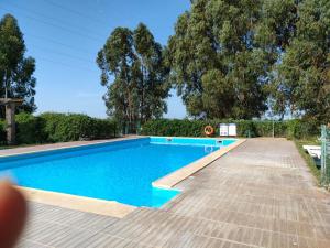 a swimming pool with blue water and trees in the background at Monte Beato in Almodôvar