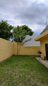 un mur jaune avec un petit arbre dans une cour dans l'établissement Casa equipada Cd Valles, à Ciudad Valles