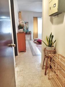 um quarto com um corredor com um vaso de plantas em Rumah Penangkap Mimpi em Kertih
