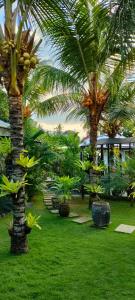 a group of palm trees in a park with grass at Rumah TONTON, Charming cottage in a pop-art atmosphere in Kubutambahan