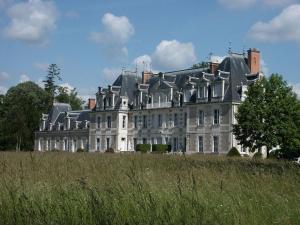 duży biały budynek z szarym dachem w obiekcie Gîte de charme avec piscine chauffée et sauna, au cœur d'une propriété historique en Val de Loire - FR-1-381-128 w mieście Monnaie