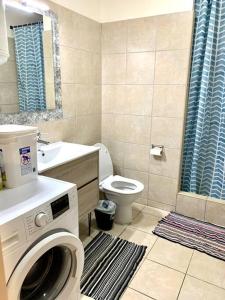 La salle de bains est pourvue d'un lave-linge. dans l'établissement Studio Papeete Lodge - Kaoha Nui, à Papeete