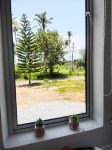 a window with two potted plants on a window sill at Wanna Homestay in Jertih