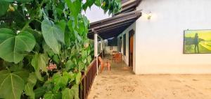 a porch of a white house with a plant at Sundance Surf Coconut Point in Weligama
