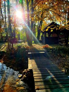 um caminho de madeira num parque com o sol a brilhar através das árvores em Jurajska Sielanka - domek nad rzeczką em Pradła