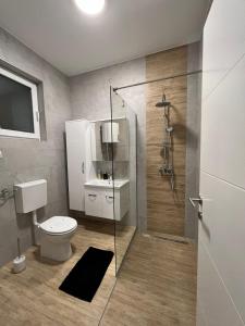 La salle de bains est pourvue de toilettes et d'une douche en verre. dans l'établissement LITTLE GARDEN - self CHECK IN, à Osijek