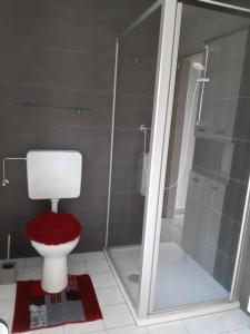 uma casa de banho com um WC e uma cabina de duche em vidro. em Ferienhaus Urschitz em Eichberg Arnfels