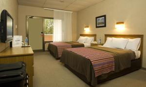 a hotel room with two beds and a television at Land Express Neuquén in Neuquén