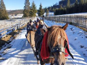 eine Gruppe von Menschen, die in einer Pferdekutsche im Schnee reiten in der Unterkunft Pensiunea Irina in Botuş