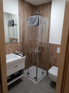 een badkamer met een douche, een wastafel en een toilet bij Pension Ederstrand in Frankenberg