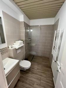 a bathroom with a toilet and a sink and a shower at Casa Armeana Studios in Iaşi