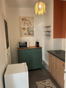 a kitchen with a green cabinet and a microwave at Moulins centre : Appartement N*6 in Moulins +9 photos