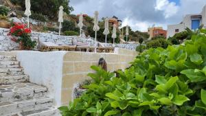 A garden outside Entire Villa full View 3 bedrooms 3 bathrooms 3 kitchens
