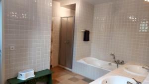 un bagno con vasca, lavandino e doccia di Spacious house in Rochefort with private garden and terrace a Rochefort Altre 13 foto