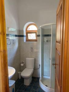 a bathroom with a toilet and a shower and a sink at The Sea Tower in Neokhórion