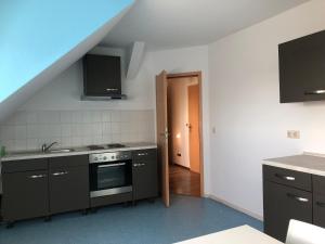eine Küche mit einer Spüle und einem Herd Top-Backofen in der Unterkunft Monteur-Pension W8 in Bad Schmiedeberg