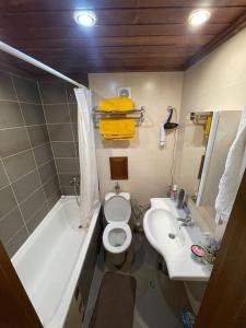 Baño pequeño con aseo y lavamanos en St.Ivan Skii Resort Apartment en Bansko