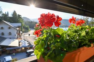 a flower pot on a window sill with red flowers at Apartment Maca Bled in Bled