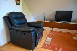 TV a/nebo společenská místnost v ubytování Apartment Maca Bled